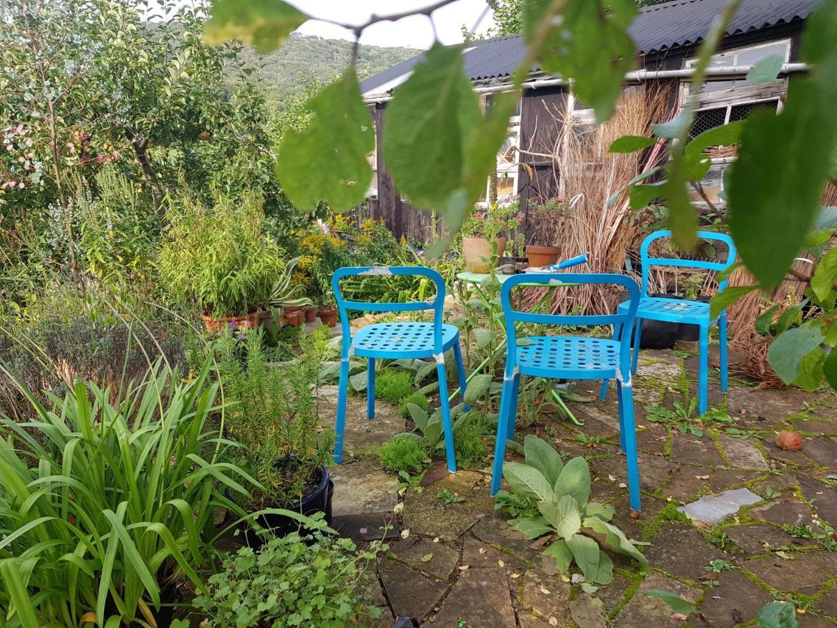 Missel Dene Hotel Rodney Stoke Buitenkant foto